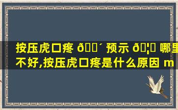 按压虎口疼 🌴 预示 🦟 哪里不好,按压虎口疼是什么原因 m.由来*